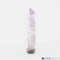 圖示-紫水晶晶體(Amethyst)