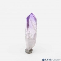 圖示-紫水晶晶體(Amethyst)