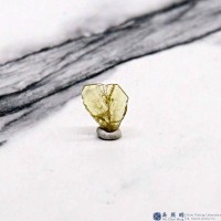 圖示-金綠寶石雙晶晶體(Chrysoberyl Twin)