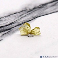 圖示-金綠寶石雙晶晶體(Chrysoberyl Twin)