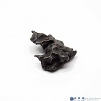 圖示-鐵鎳隕石(Iron meteorite)