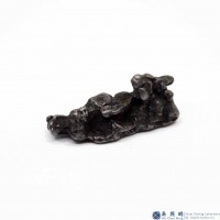 圖示-鐵鎳隕石(Iron meteorite)