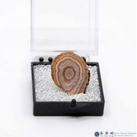 圖示-菱錳礦(Rhodochrosite)