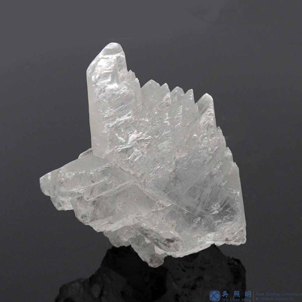 圖示-石膏晶體(Gypsum)